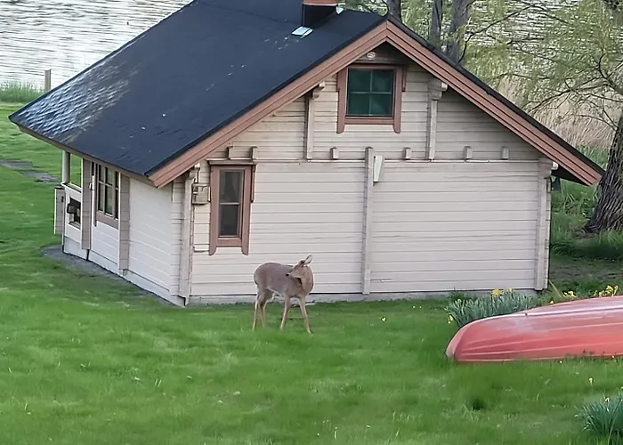 Paeivaekulma * Naantali
